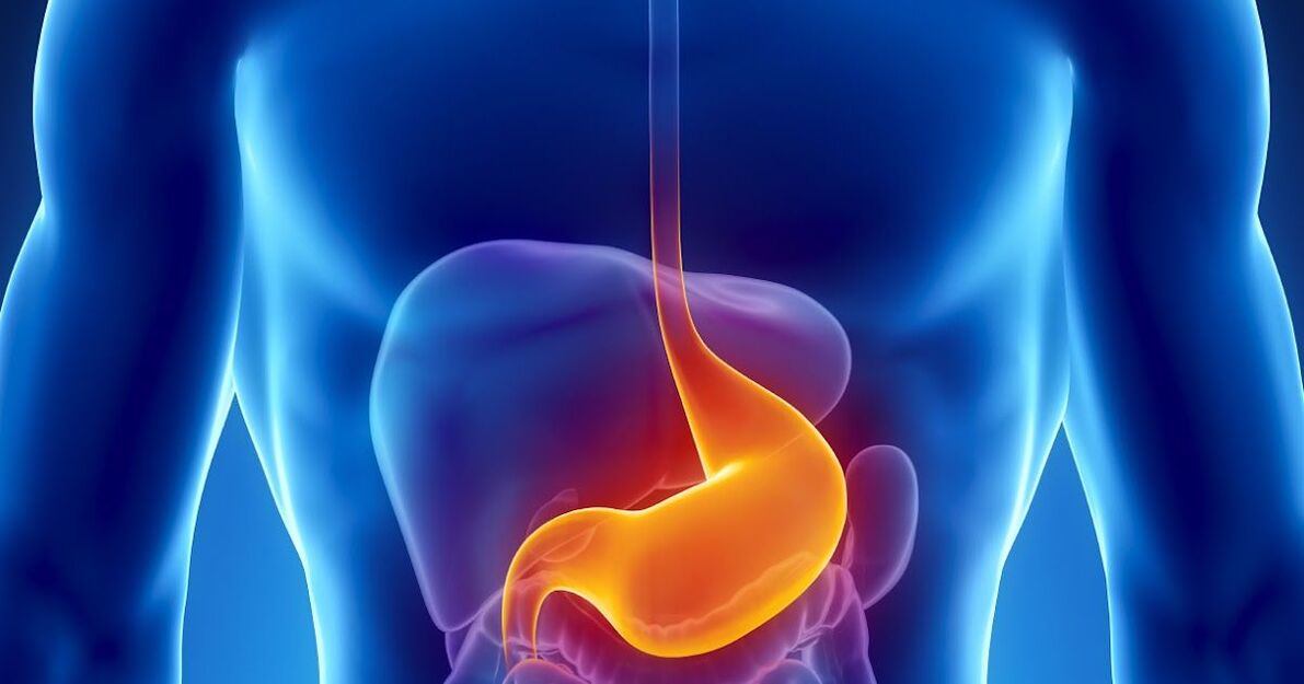 contraindications pikeun cleansing awak parasit