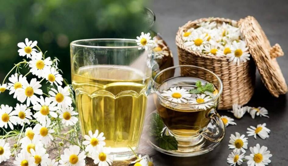 dekok chamomile pikeun parasit