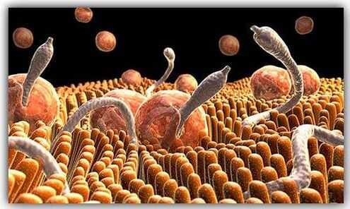 Parasit dina jero awak